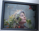 Stella Pfeiffer